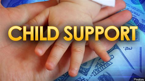 The parents net income must be less than 250 of the federal poverty level. . List of parents who owe child support in louisiana